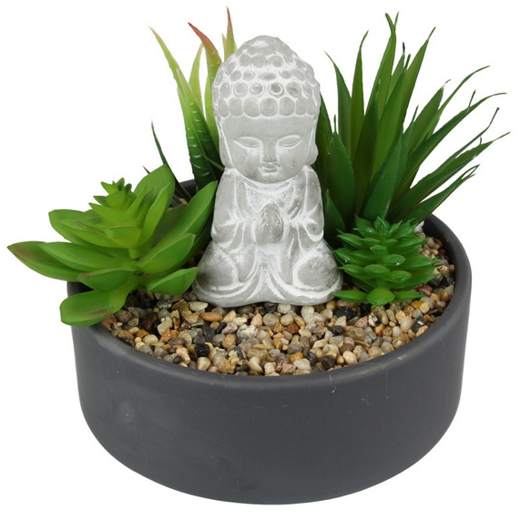 Succulent Buddha Garden