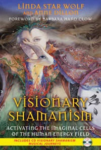VISIONARY SHAMANISM