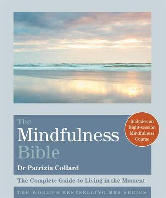 book_mindfulness_bible