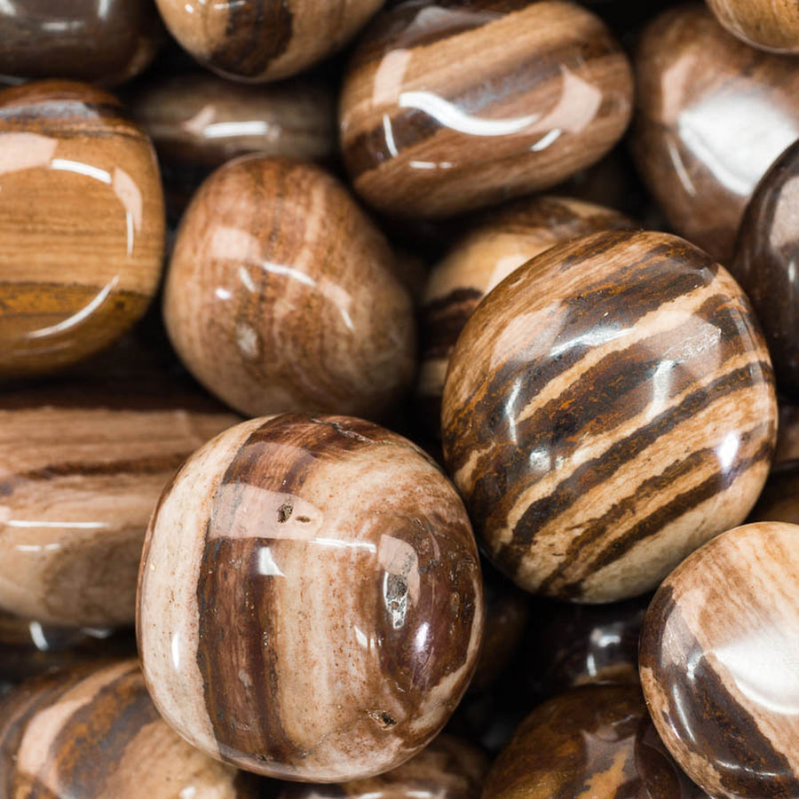 Tumble - Jasper Chocolate