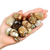Tumble - Petrified Wood