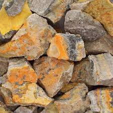 Tumble - Bumblebee Jasper Raw