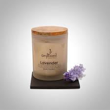 Ampliscent Candle Assorted Fragrances