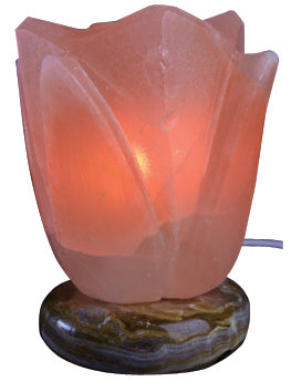 Salt Lamp Assorted Styles