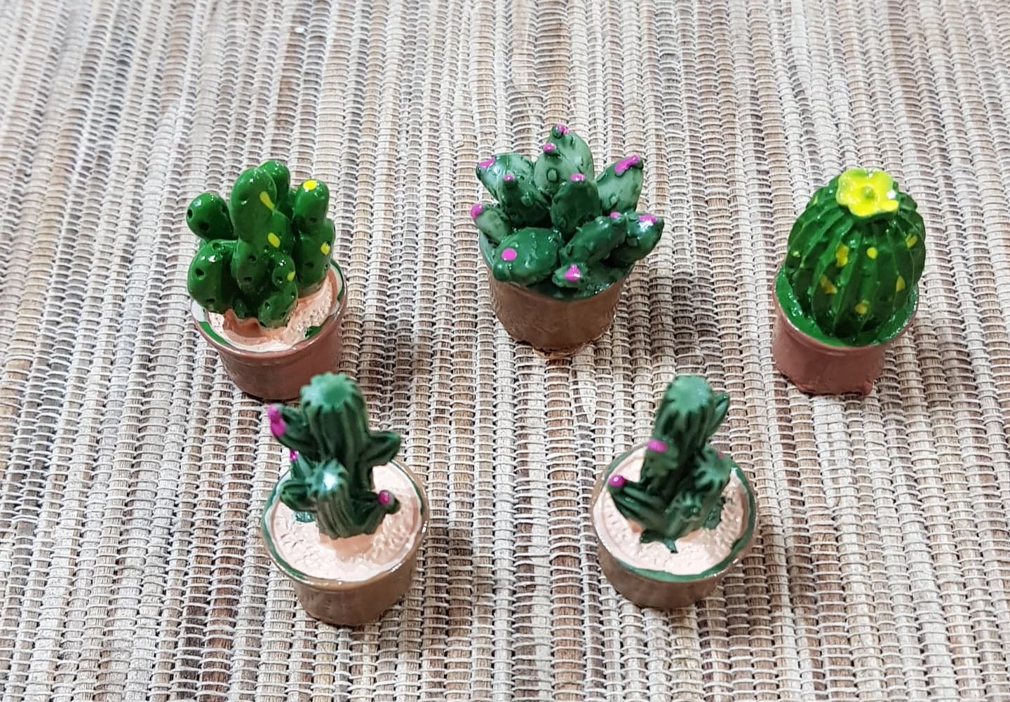 mini_cacti