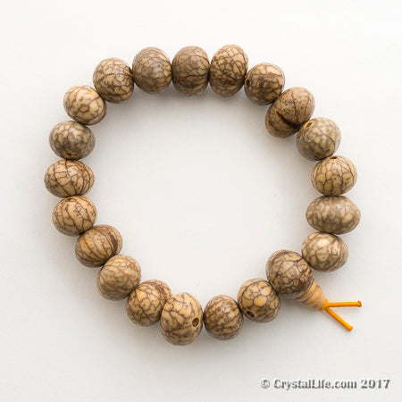 Lotus seed Bracelet