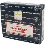 palo santo cones satya