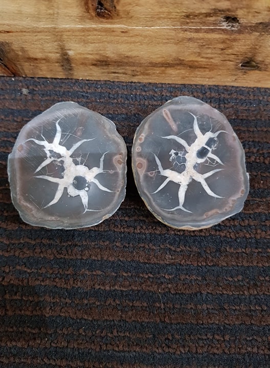 septarian