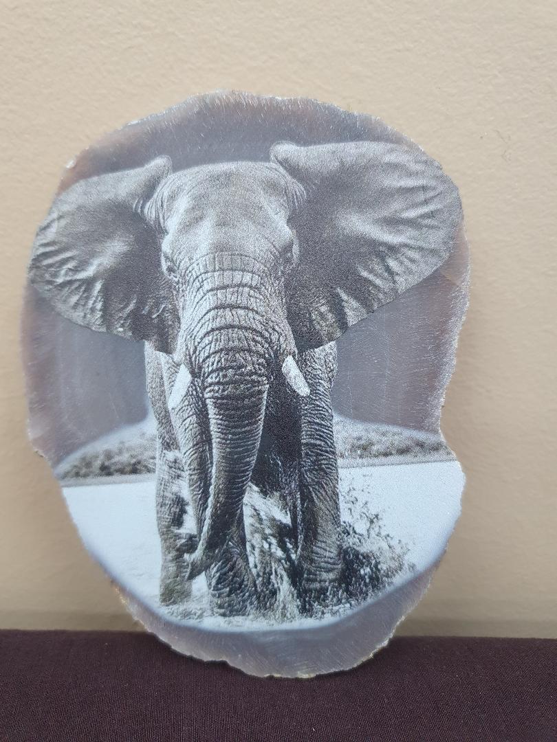 Agate- Printed Totems