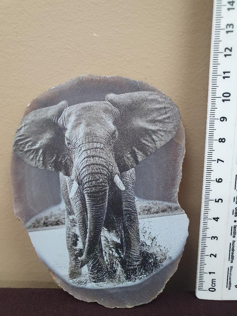 Agate- Printed Totems