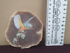 Agate- Printed Totems
