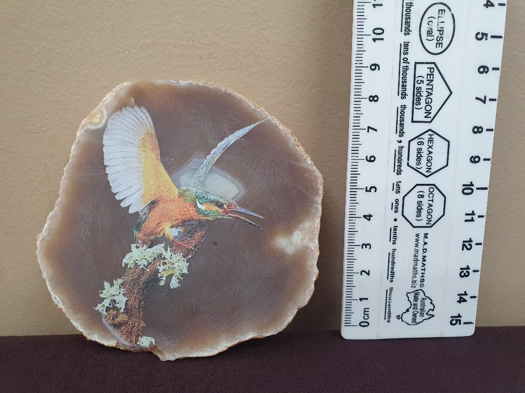 Agate- Printed Totems