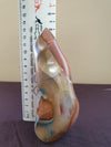 Polychrome Jasper- free form