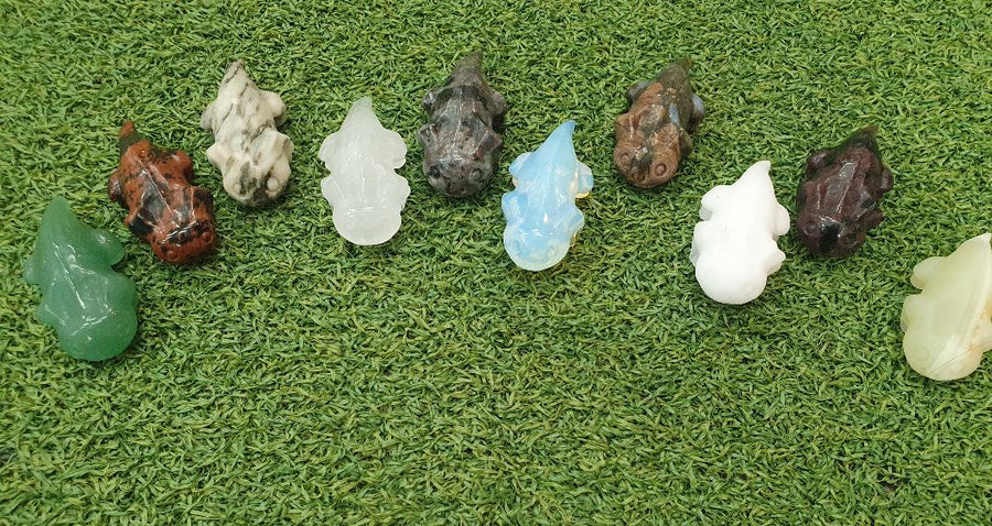 Assorted Salamander