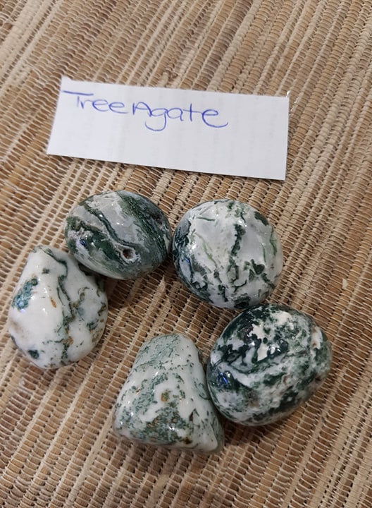 treeagate