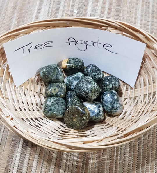 treeagate